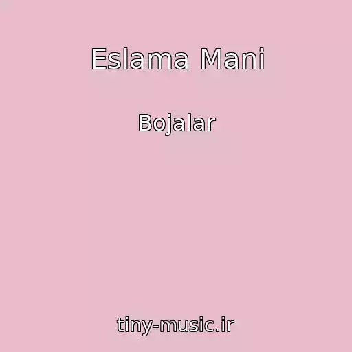 کاور آهنگ Eslama Mani از Bojalar