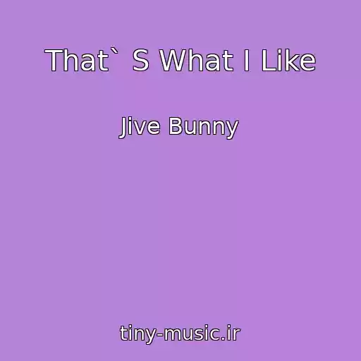 کاور آهنگ That` S What I Like از Jive Bunny