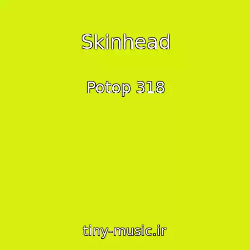 کاور آهنگ Skinhead از Potop 318