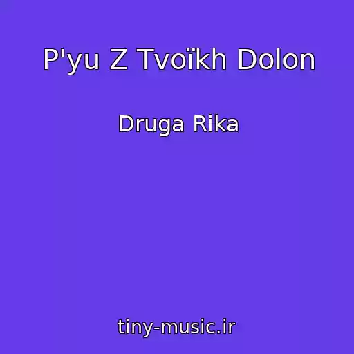 کاور آهنگ P'yu Z Tvoїkh Dolon از Druga Rіka