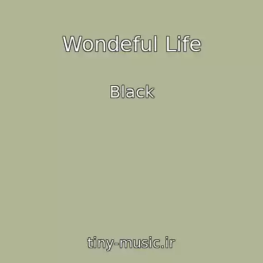 کاور آهنگ Wondeful Life از Black