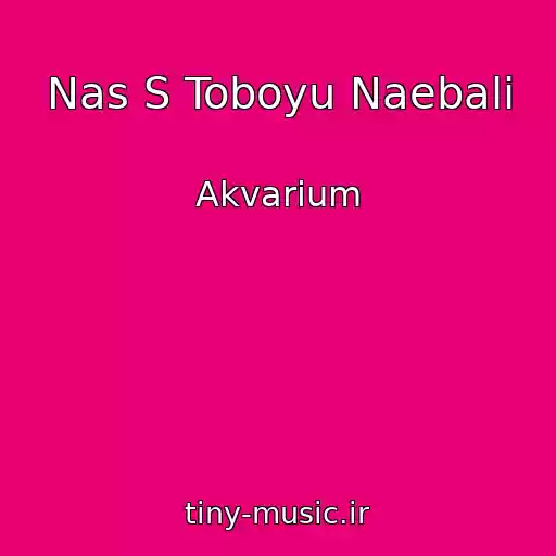 کاور آهنگ Nas S Toboyu Naebali از Akvarium