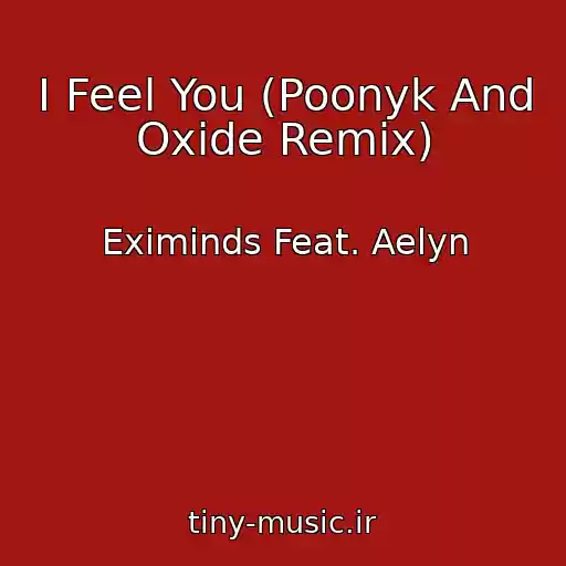 کاور آهنگ I Feel You (Poonyk And Oxide Remix) از Eximinds Feat. Aelyn