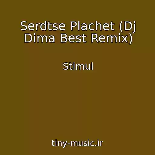 کاور آهنگ Serdtse Plachet (Dj Dima Best Remix) از Stimul