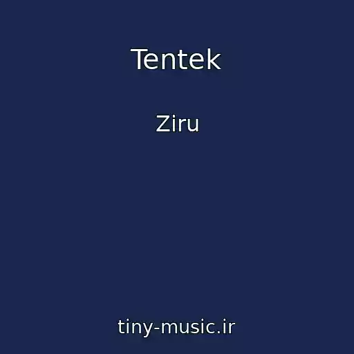 کاور آهنگ Tentek از Ziru
