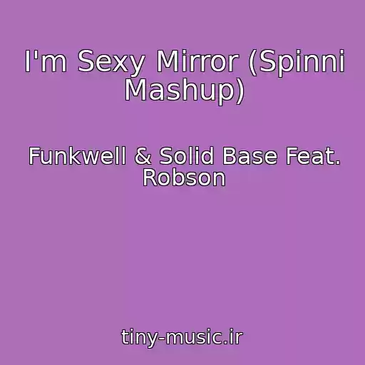 کاور آهنگ I'm Sexy Mirror (Spinni Mashup) از Funkwell & Solid Base Feat. Robson