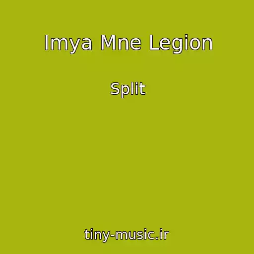 کاور آهنگ Imya Mne Legion از Split