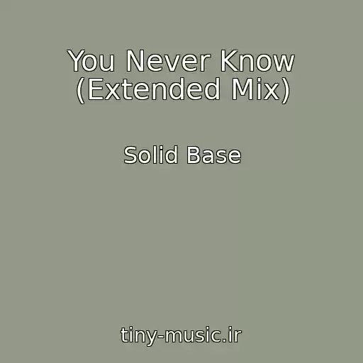 کاور آهنگ You Never Know (Extended Mix) از Solid Base