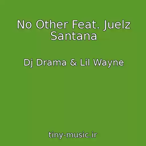 کاور آهنگ No Other Feat. Juelz Santana از Dj Drama & Lil Wayne