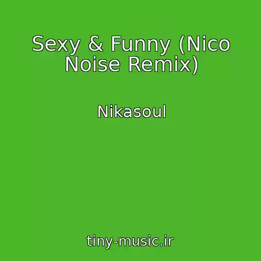 کاور آهنگ Sexy & Funny (Nico Noise Remix) از Nikasoul
