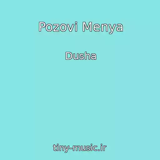 کاور آهنگ Pozovi Menya از Dusha