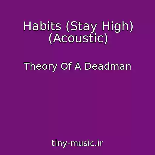 کاور آهنگ Habits (Stay High) (Acoustic) از Theory Of A Deadman