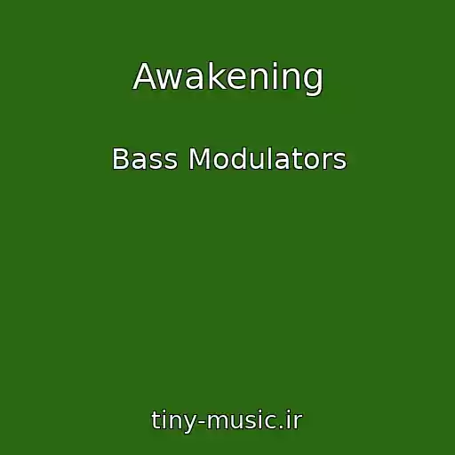 کاور آهنگ Awakening از Bass Modulators
