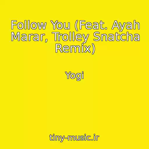 کاور آهنگ Follow You (Feat. Ayah Marar, Trolley Snatcha Remix) از Yogi