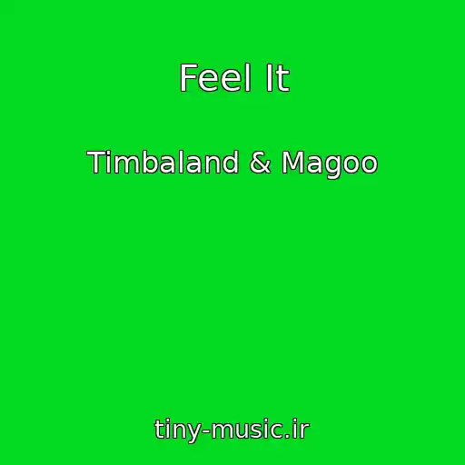 کاور آهنگ Feel It از Timbaland & Magoo
