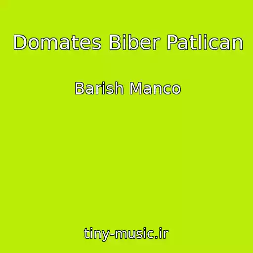 کاور آهنگ Domates Biber Patlican از Barish Manco