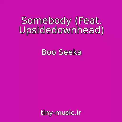 کاور آهنگ Somebody (Feat. Upsidedownhead) از Boo Seeka