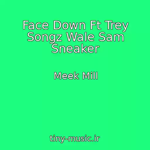 کاور آهنگ Face Down Ft Trey Songz Wale Sam Sneaker از Meek Mill