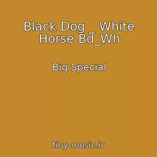 کاور آهنگ Black Dog _ White Horse Bd_Wh از Big Special