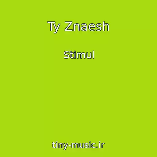 کاور آهنگ Ty Znaesh از Stimul
