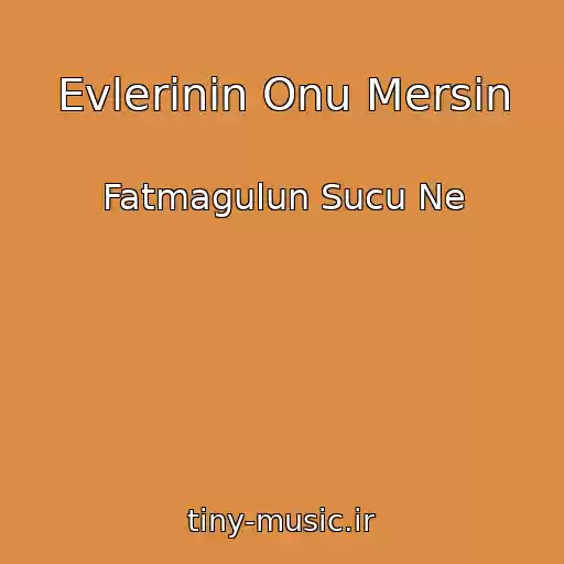 کاور آهنگ Evlerinin Onu Mersin از Fatmagulun Sucu Ne