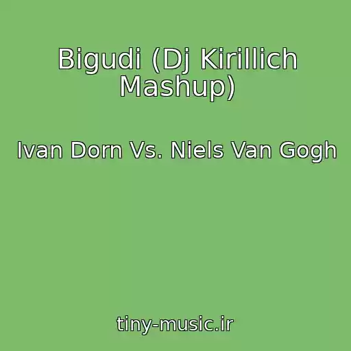 کاور آهنگ Bigudi (Dj Kirillich Mashup) از Ivan Dorn Vs. Niels Van Gogh