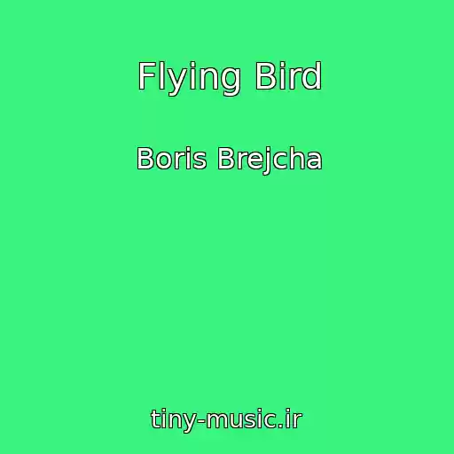 کاور آهنگ Flying Bird از Boris Brejcha