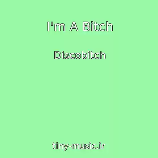 کاور آهنگ I'm A Bitch از Discobitch