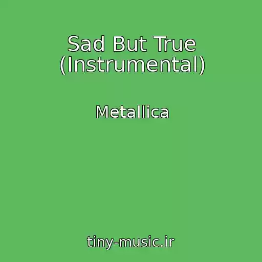 کاور آهنگ Sad But True (Instrumental) از Metallica