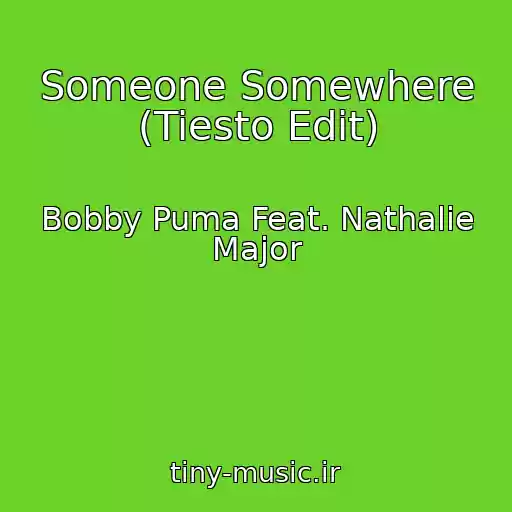 کاور آهنگ Someone Somewhere (Tiesto Edit) از Bobby Puma Feat. Nathalie Major