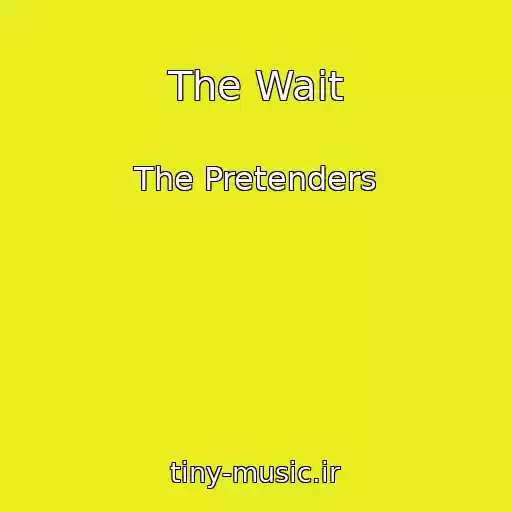 کاور آهنگ The Wait از The Pretenders