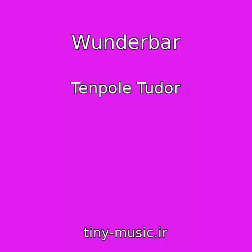 کاور آهنگ Wunderbar از Tenpole Tudor