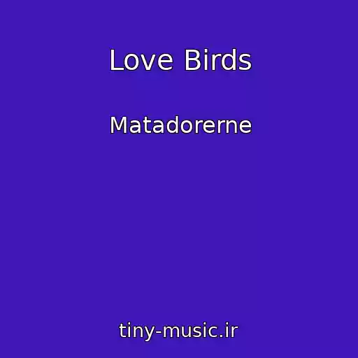 کاور آهنگ Love Birds از Matadorerne