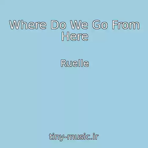 کاور آهنگ Where Do We Go From Here از Ruelle