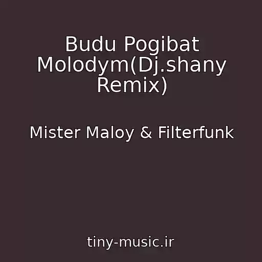 کاور آهنگ Budu Pogibat Molodym(Dj.shany Remix) از Mister Maloy & Filterfunk