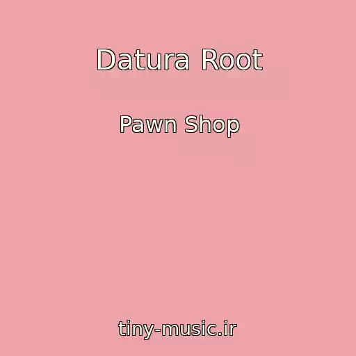 کاور آهنگ Datura Root از Pawn Shop