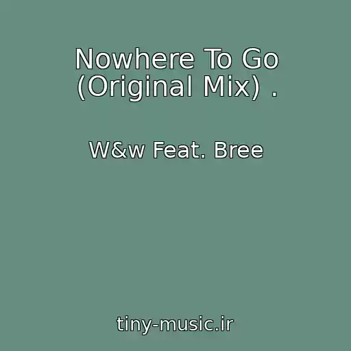 کاور آهنگ Nowhere To Go (Original Mix) . از W&w Feat. Bree