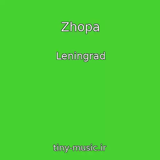 کاور آهنگ Zhopa از Leningrad