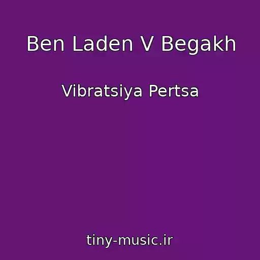 کاور آهنگ Ben Laden V Begakh از Vibratsiya Pertsa