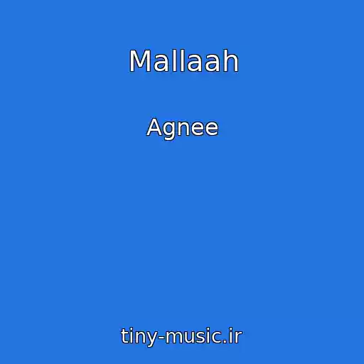 کاور آهنگ Mallaah از Agnee
