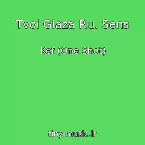 کاور آهنگ Tvoi Glaza P.u. Sens از Kef (One Shot)
