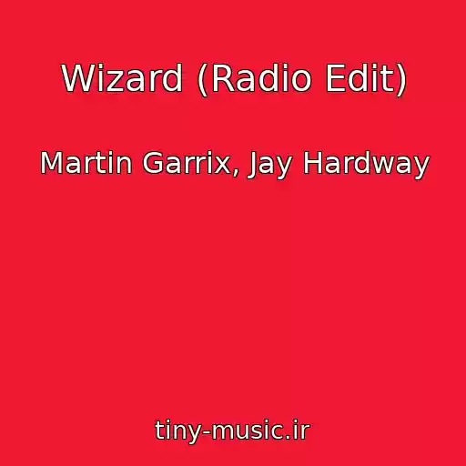 کاور آهنگ Wizard (Radio Edit) از Martin Garrix, Jay Hardway