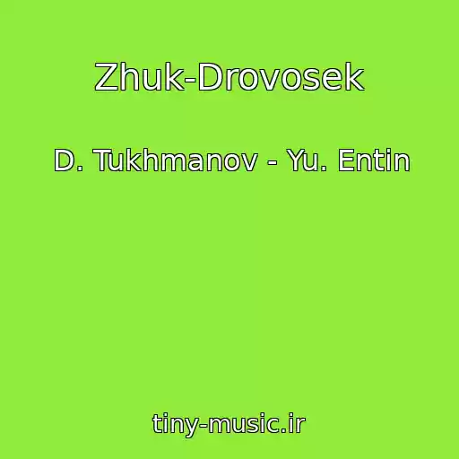 کاور آهنگ Zhuk-Drovosek از D. Tukhmanov - Yu. Entin