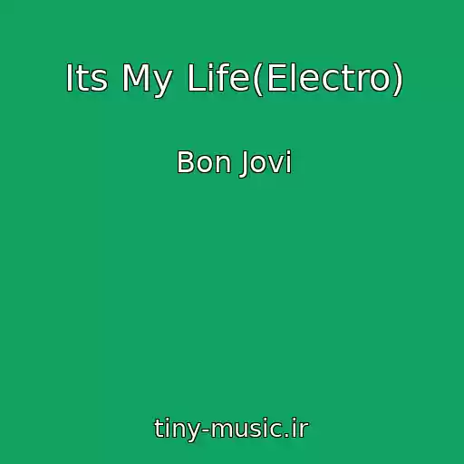 کاور آهنگ Its My Life(Electro) از Bon Jovi