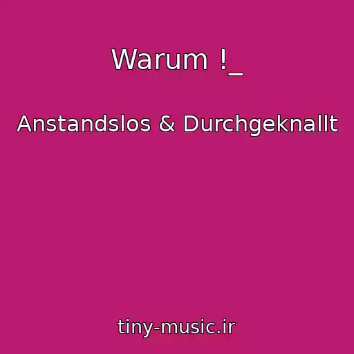 کاور آهنگ Warum !_ از Anstandslos & Durchgeknallt