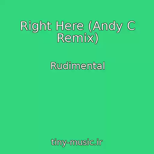 کاور آهنگ Right Here (Andy C Remix) از Rudimental
