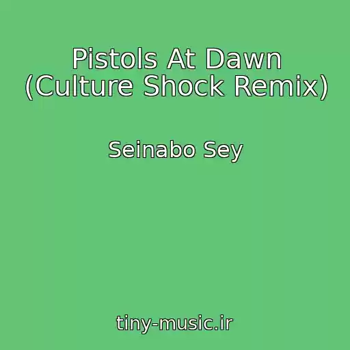 کاور آهنگ Pistols At Dawn (Culture Shock Remix) از Seinabo Sey