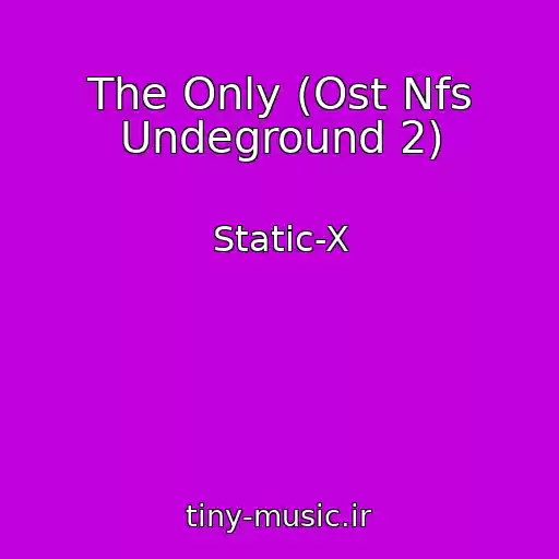 کاور آهنگ The Only (Ost Nfs Undeground 2) از Static-X
