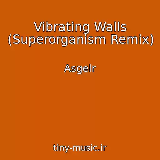 کاور آهنگ Vibrating Walls (Superorganism Remix) از Asgeir