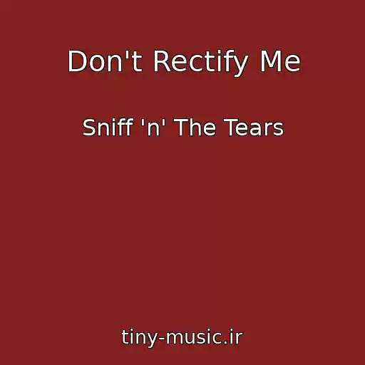 کاور آهنگ Don't Rectify Me از Sniff 'n' The Tears